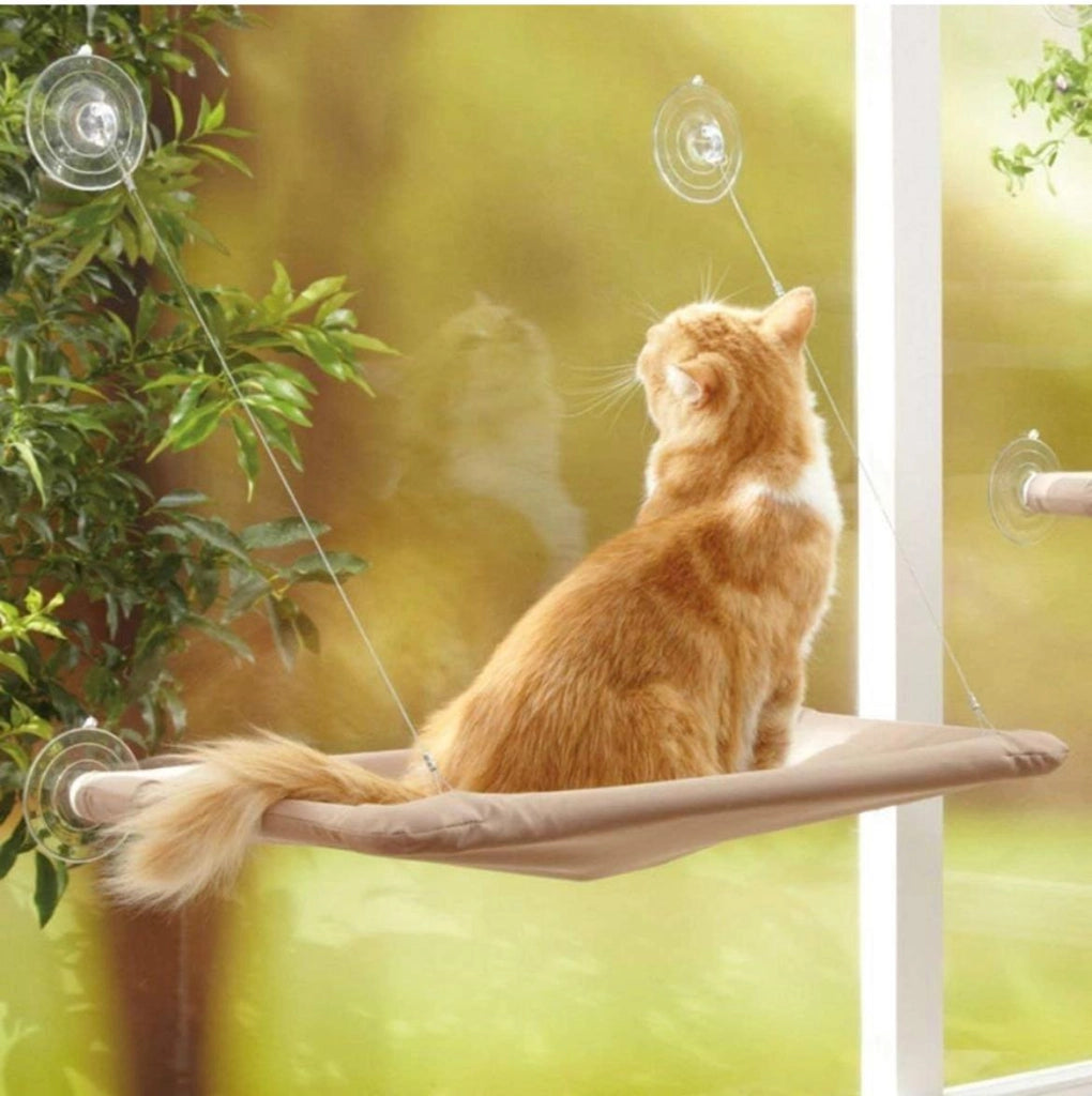 Amaca Letto Cuccia per Gatti Gatto da Finestra con Ventose Universale Interno