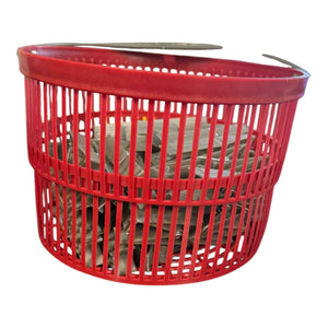 CESTINO LILLY CON 36 MOLLETTE