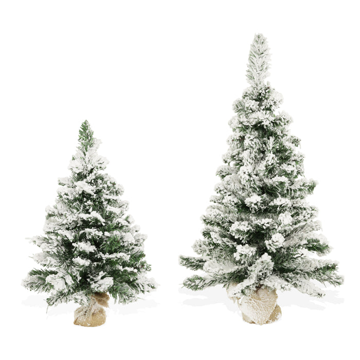 Albero di Natale Argo Innevato 90 cm