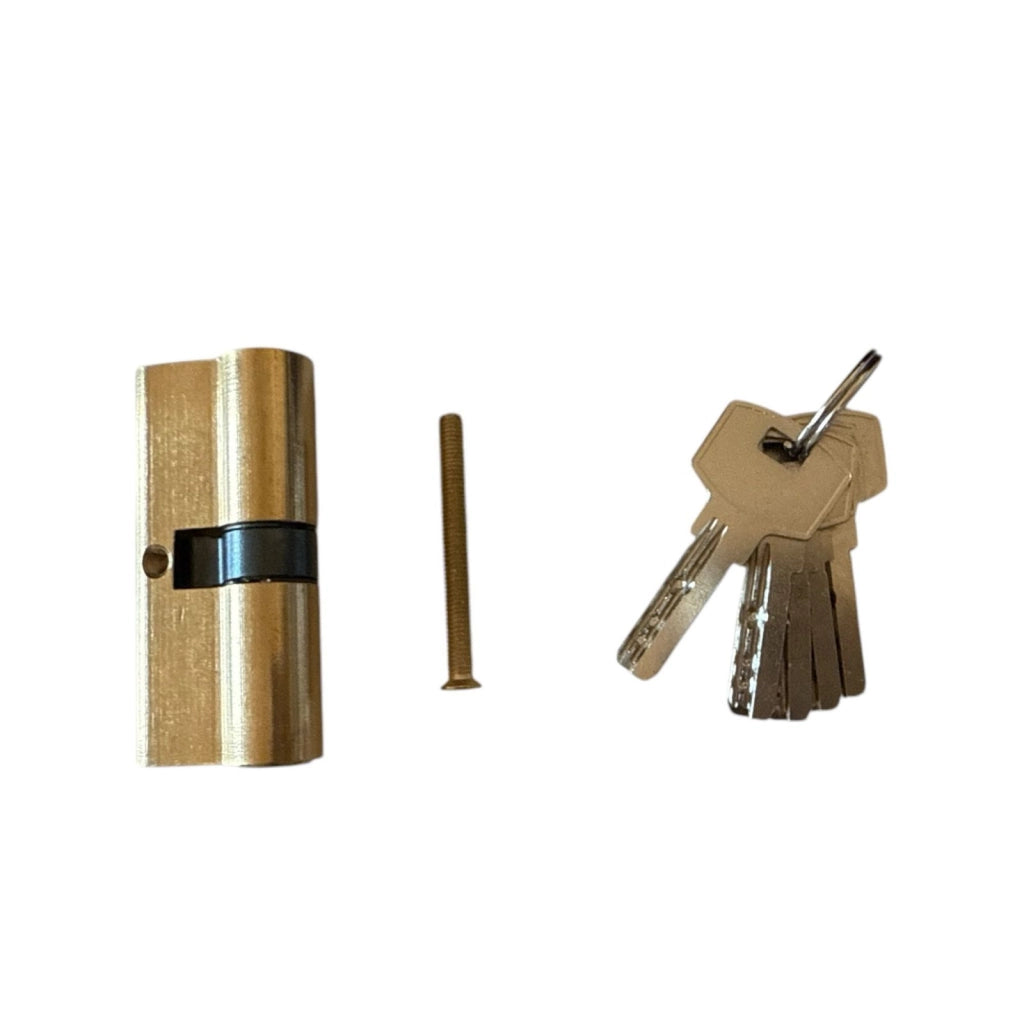 Serratura Cilindro Sicurezza Per Serrature da 70mm Con 5 Chiavi Lucchetto Porta