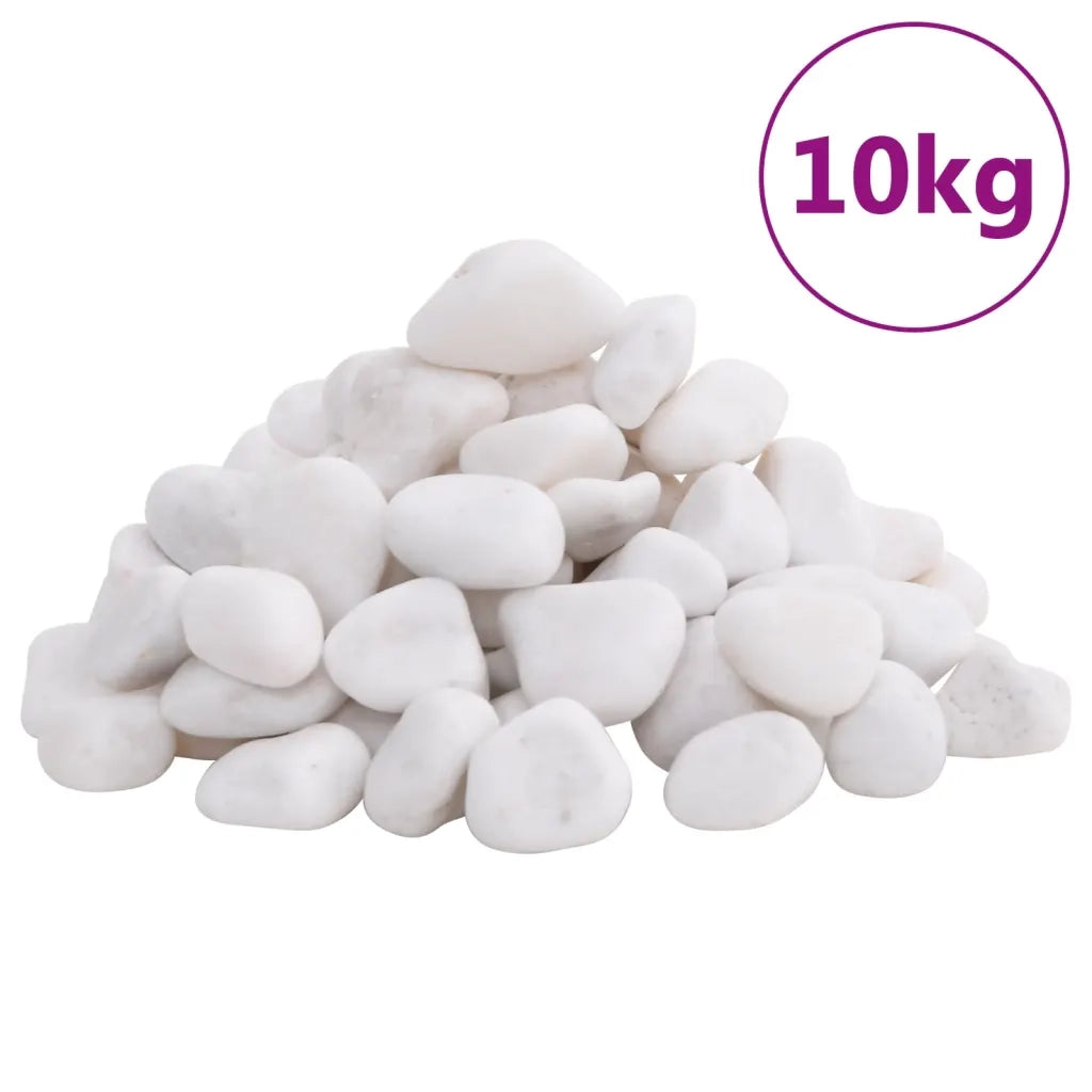 Ciottoli Levigati 10 kg Bianchi 2-5 cm 155329