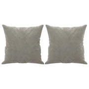 Cuscini Decorativi 2 pz Grigio Chiaro 40x40 cm in Velluto CFW4905487