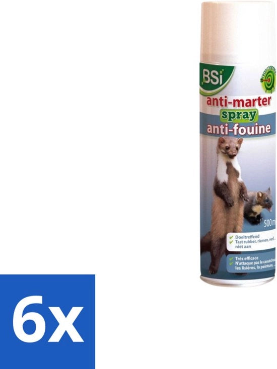 Spray Antimatterico per Auto e Casa - 500 ml - Confezione Economica - 6 pezzi