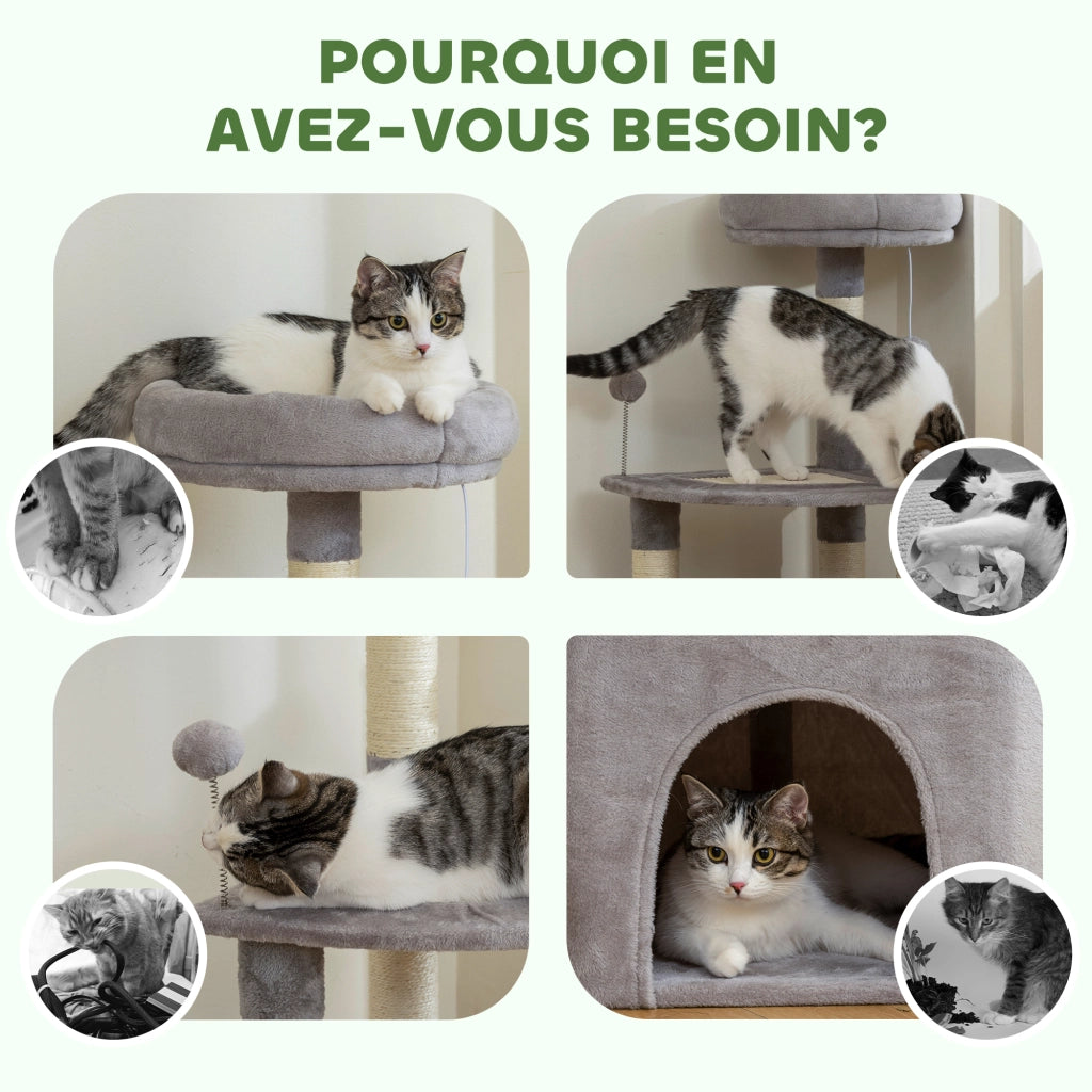 Arbre ¨¤ chat per gatti con piattaforma, griffoir sisal, nicchia e palle ¨C zephmum ¨C 49x49x114 cm grigio chiaro