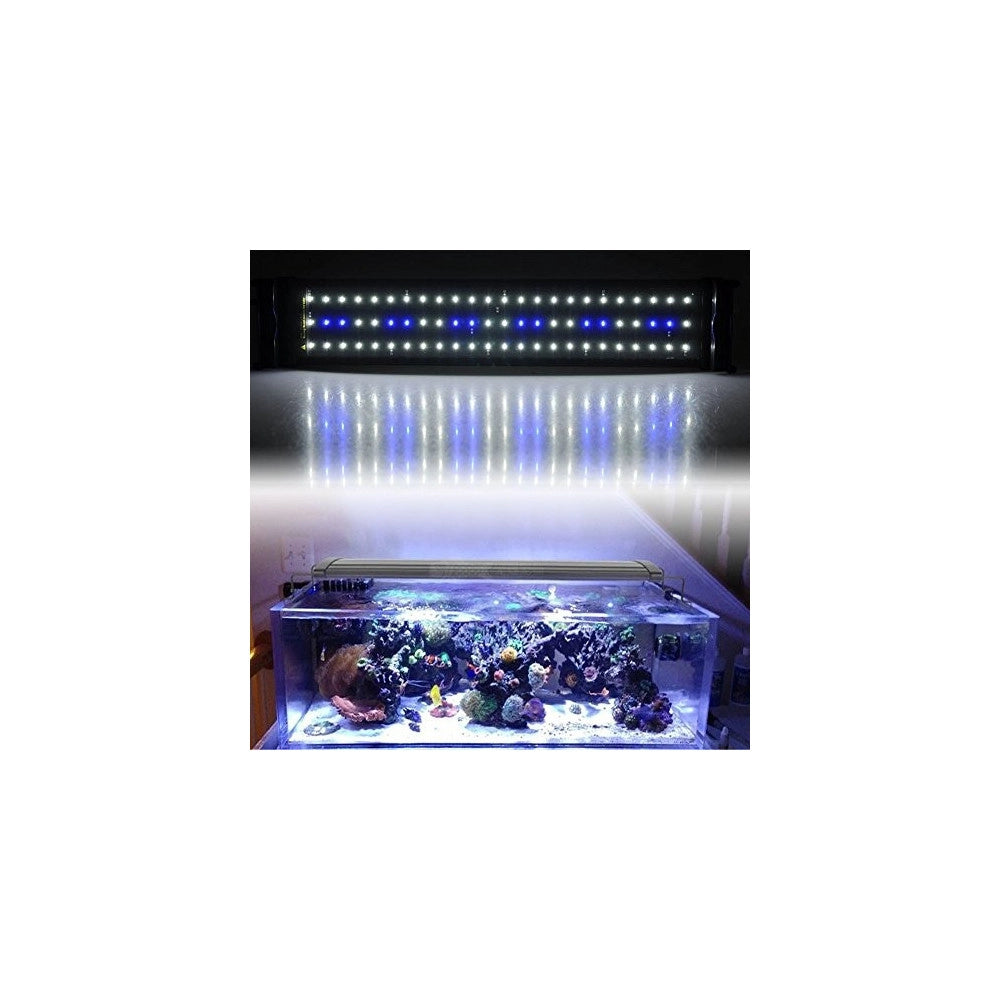 Trade Shop - Lampada Plafoniera A Led Per Acquari A Bordo Vasca Regolabile Luce Bianca + Blu -   -led450    -
