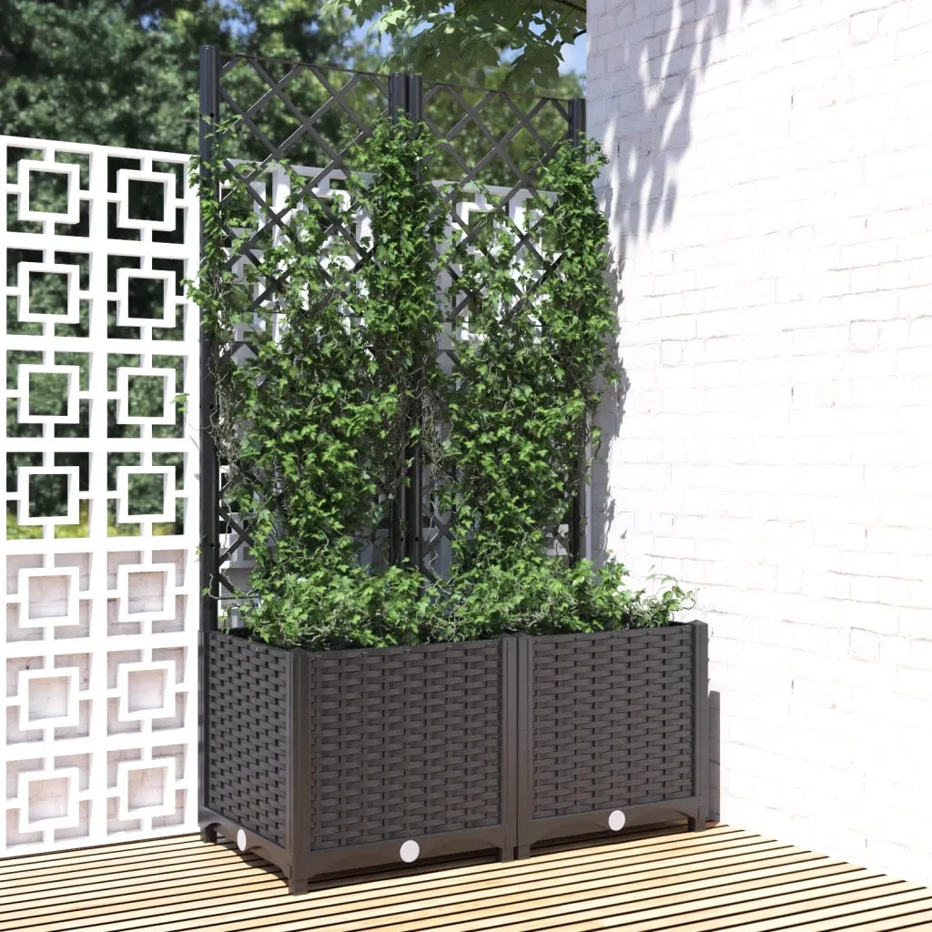 Fioriera | Cassetta per fiori | Vaso da giardino con traliccio nera 80x40x136 cm PP