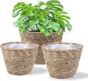 Set di contenitori per piante - contenitore per fiori intrecciato - vecchia canna da mare - mano a mano - vasi - contenitore per piante - contenitore per piante 

(se non è presente un modello o codice specifico, potrebbe essere necessario aggiungerlo)