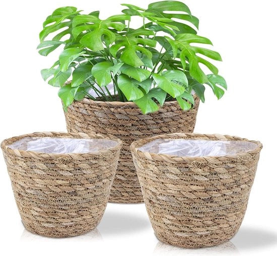 Set di contenitori per piante - contenitore per fiori intrecciato - vecchia canna da mare - mano a mano - vasi - contenitore per piante - contenitore per piante 

(se non è presente un modello o codice specifico, potrebbe essere necessario aggiungerlo)