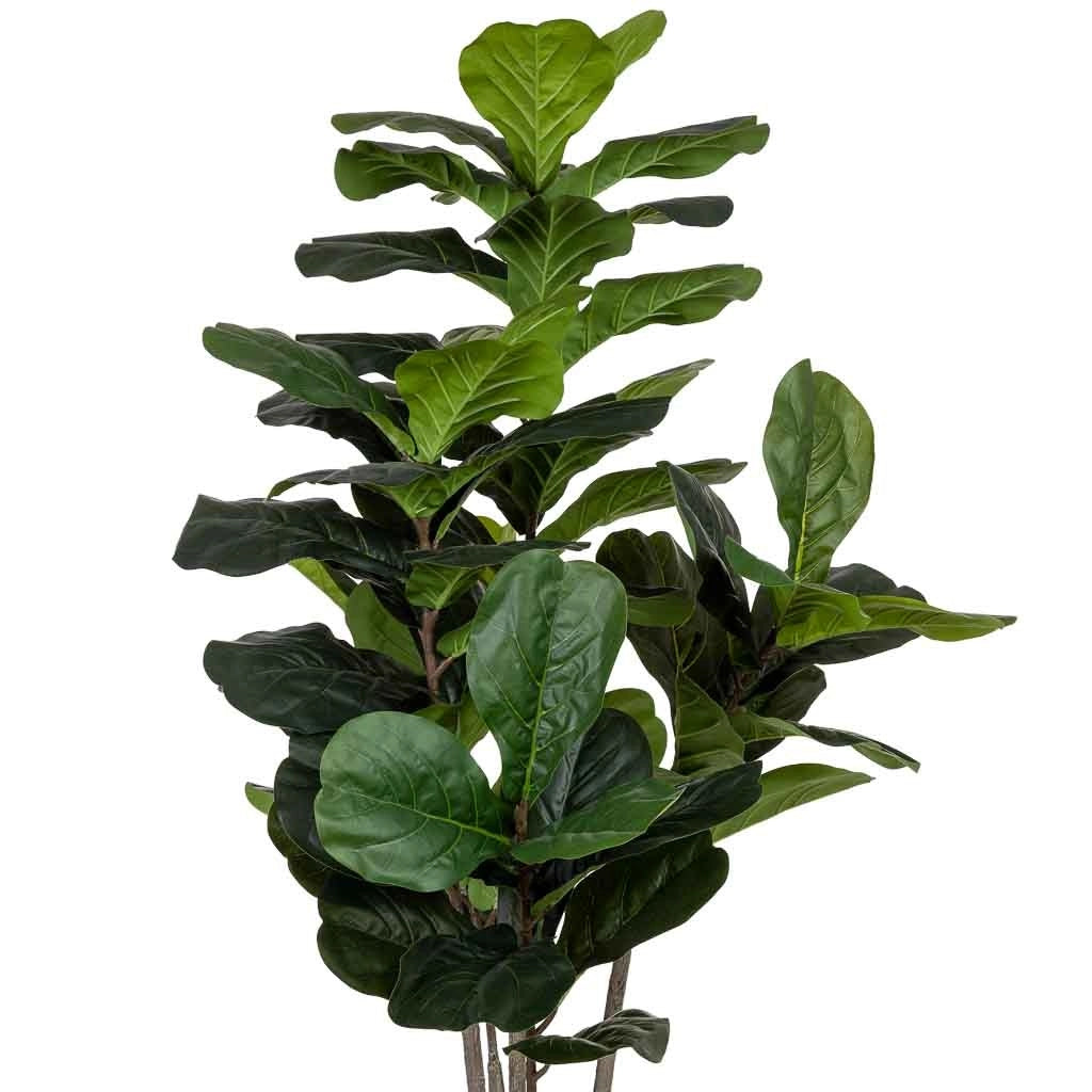 Ficus liata artificiale decorativo verde con 66 foglie verde 89x89x150