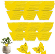 Bordstickers anti-stress 60 pezzi per combattere la fatica e la stanchezza - idea per piante interne