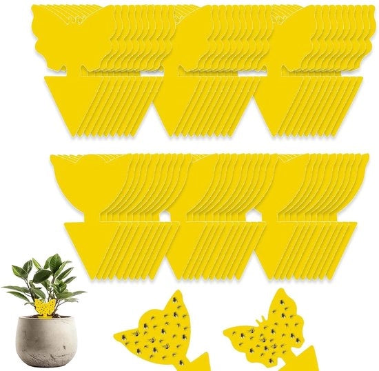 Bordstickers anti-stress 60 pezzi per combattere la fatica e la stanchezza - idea per piante interne