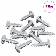 Vite 13636 pz Argento M4 x 16 mm Acciaio CFW8133523