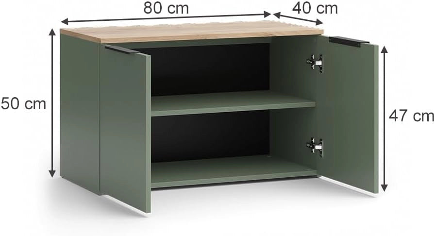 Credenza Wido, Verde, 80 x 50 cm con 2 porte, adatto per riporre abiti e oggetti per la casa