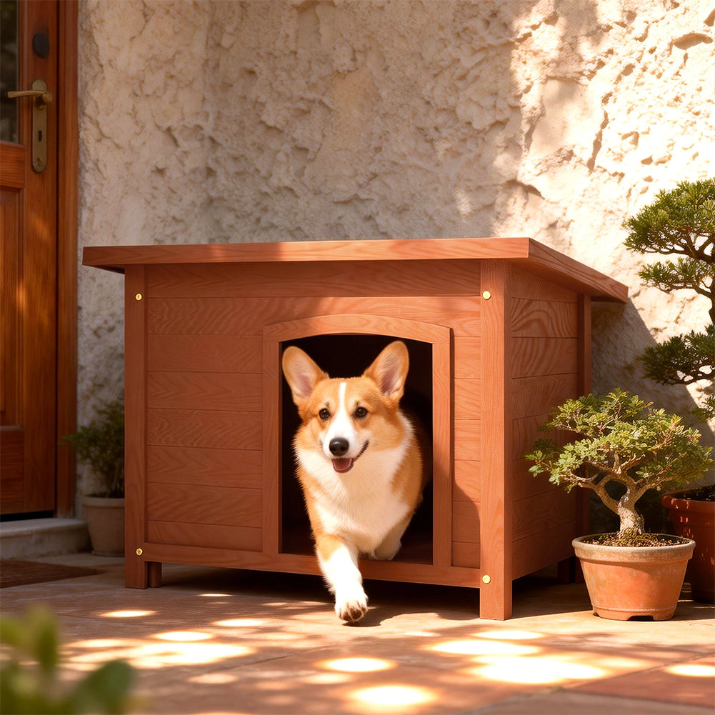 Casetta per Cani M Esterno in Legno Tetto Apribile Cuccia per Animali Domestici