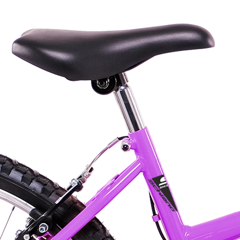 F.LLI SCHIANO MTB 24 Donna 18v lilla