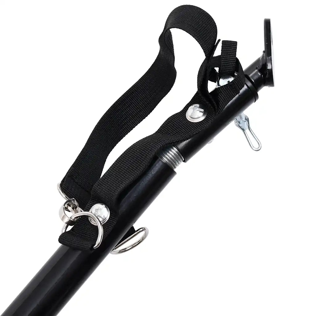 Rimorchio Bici per Animali Carrello Jogging 2in1 Blu e Grigio 92441