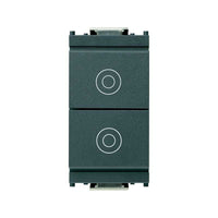16121 due Pulsanti Indipendenti 1P No 10A Grigio Idea
