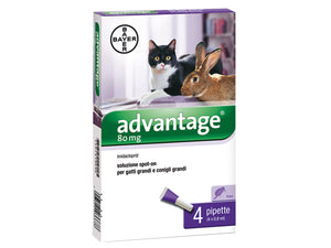 ADVANTAGE GATTI>4KG MG80 CF4PZ -85906348
