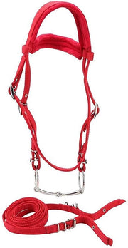 Accessorio per cavalli - Morso e guinzaglio - Supporti morbidi - Materiale PP duraturo - Ideale accessorio - Protegge la pelle del cavallo