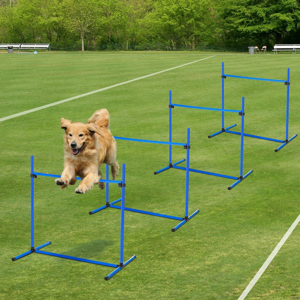 Set di 4 Ostacoli per Addestramento Cani ¨C zephmum ¨C Blu, Regolabile, 99x65x94cm