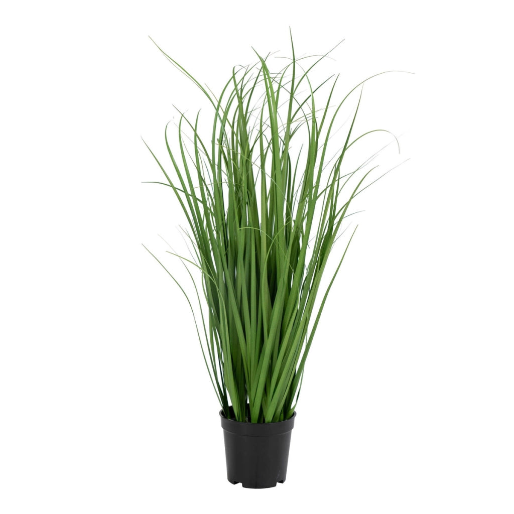 Pianta Artificiale Poa, Verde, Polietilene, 30x30x68 cm
