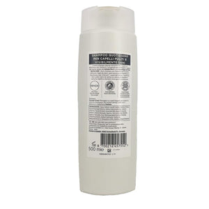 PANTENE PRO-V ACTIVE NUTRI-PLEX SHAMPOO RIGENERA E PROTEGGE RINFORZA I CAPELLI DEBOLI E DANNEGGIATI FORMATO GRANDE 500 ML