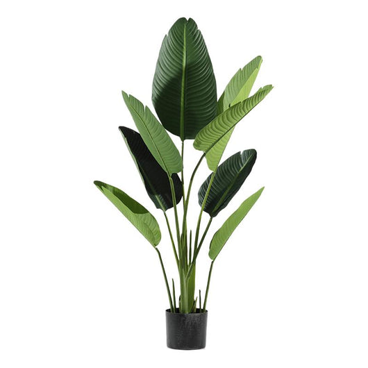 PIANTA BANANO FINTA CON VASO PER ARREDO INTERNO ED ESTERNO 120H CM OKX