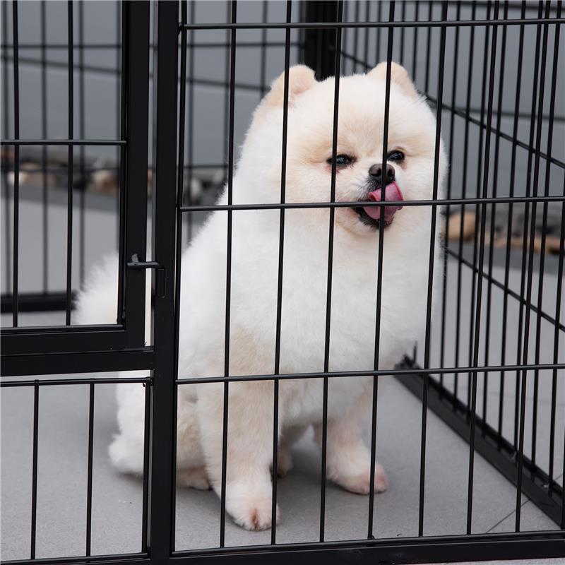 RECINTO MODULARE PER ANIMALI DOMESTICI 125 X 80 X 70CM