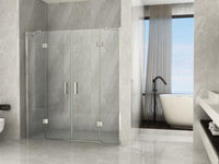 Box doccia per nicchia Cristallo 8 mm doppio battente esterno con maniglia - Misura: 252-256 x H 195