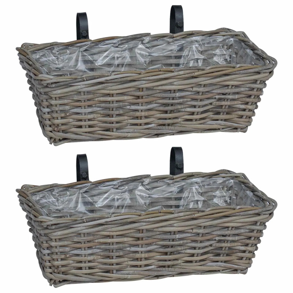 Cestino Appendibile per Piante 2 pcs Grigio 48 x 22 x 15 cm