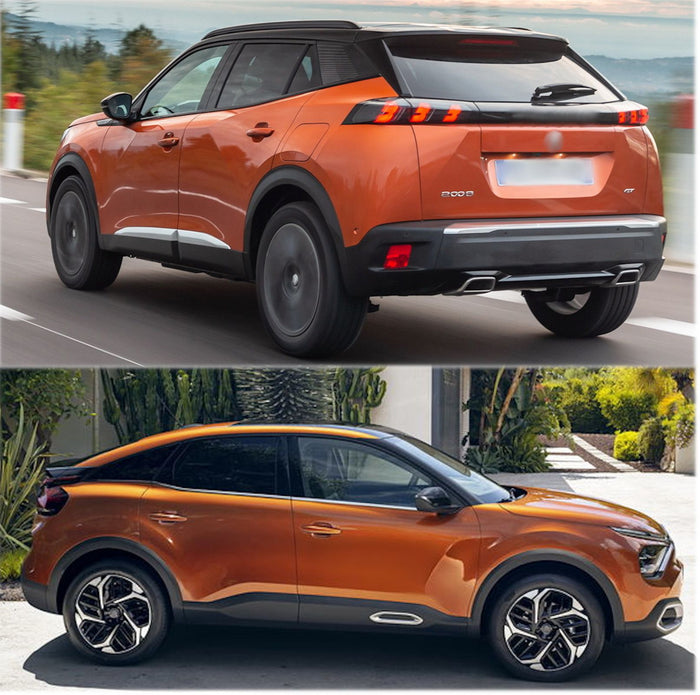 RIGUM905076 , Peugeot 2008 II dal 01/2020- , Citroen C4 dal 2021- , DS3 Crossback 2019-, C4 X dal 2022-  No modelli Elet