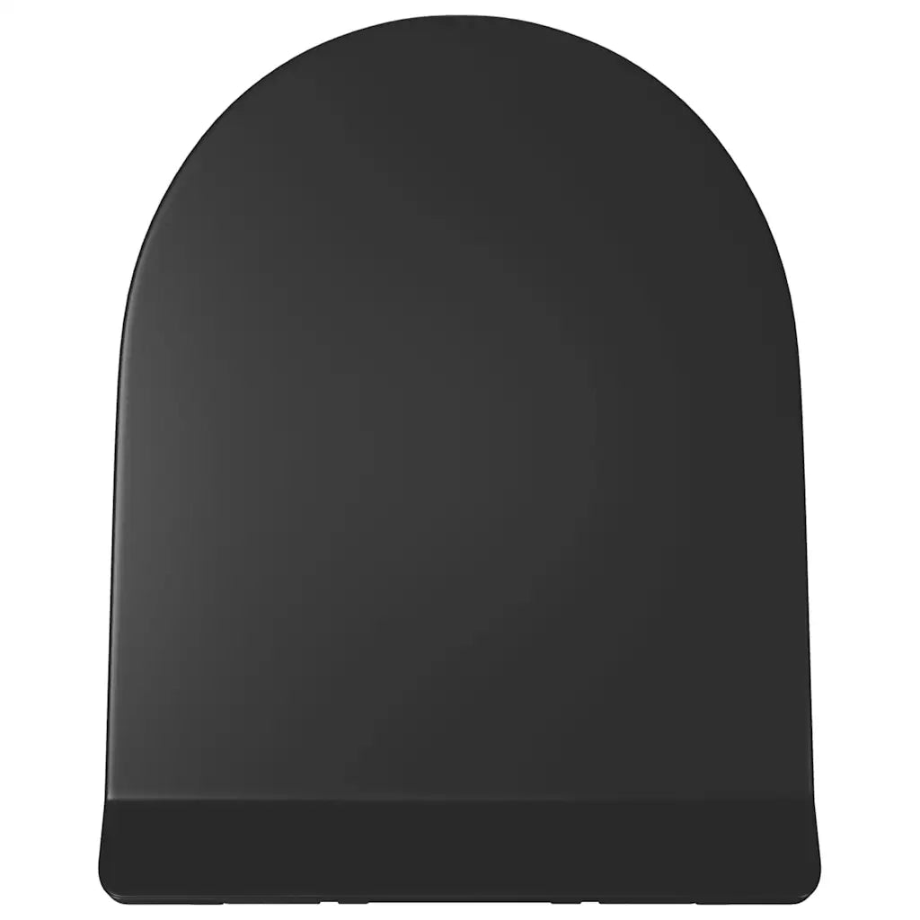 Copriwater Ammortizzato a Sgancio Rapido Nero CFW2428640