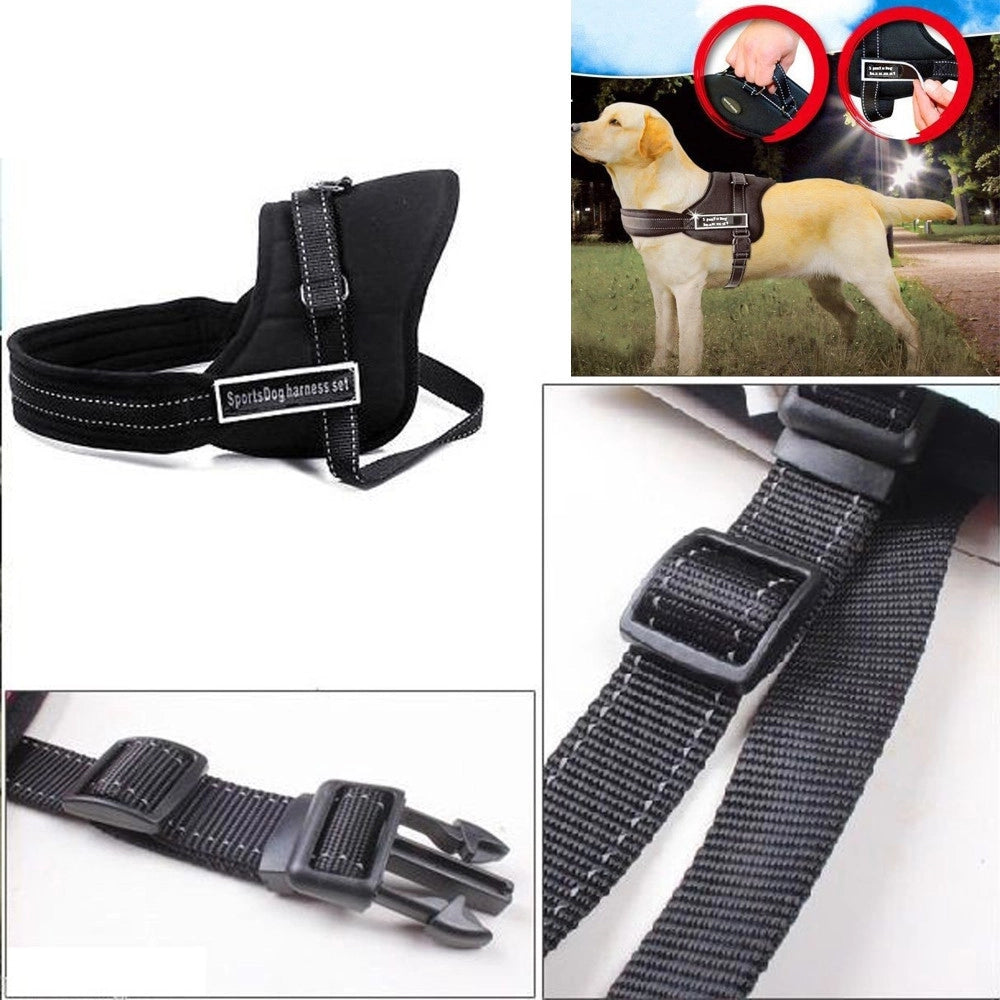 Trade Shop - Guinzaglio Addestra Cani Imbracatura Collare Cane Sports Dog Harness Set -