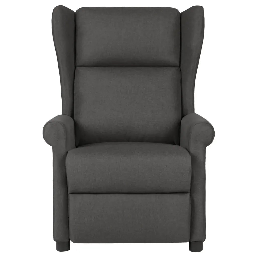 Divano Sedia-Poltrona Reclinabile in Tessuto Grigio Scuro 772687
