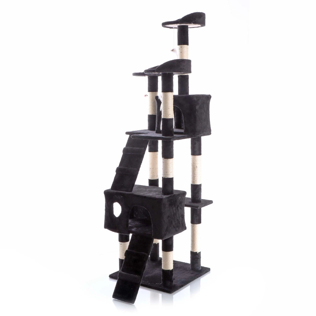 Albero tiragraffi nero 170 cm con piattaforme, cuccette e scale