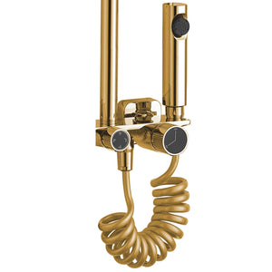 Set Doccia Rea Helix Gold