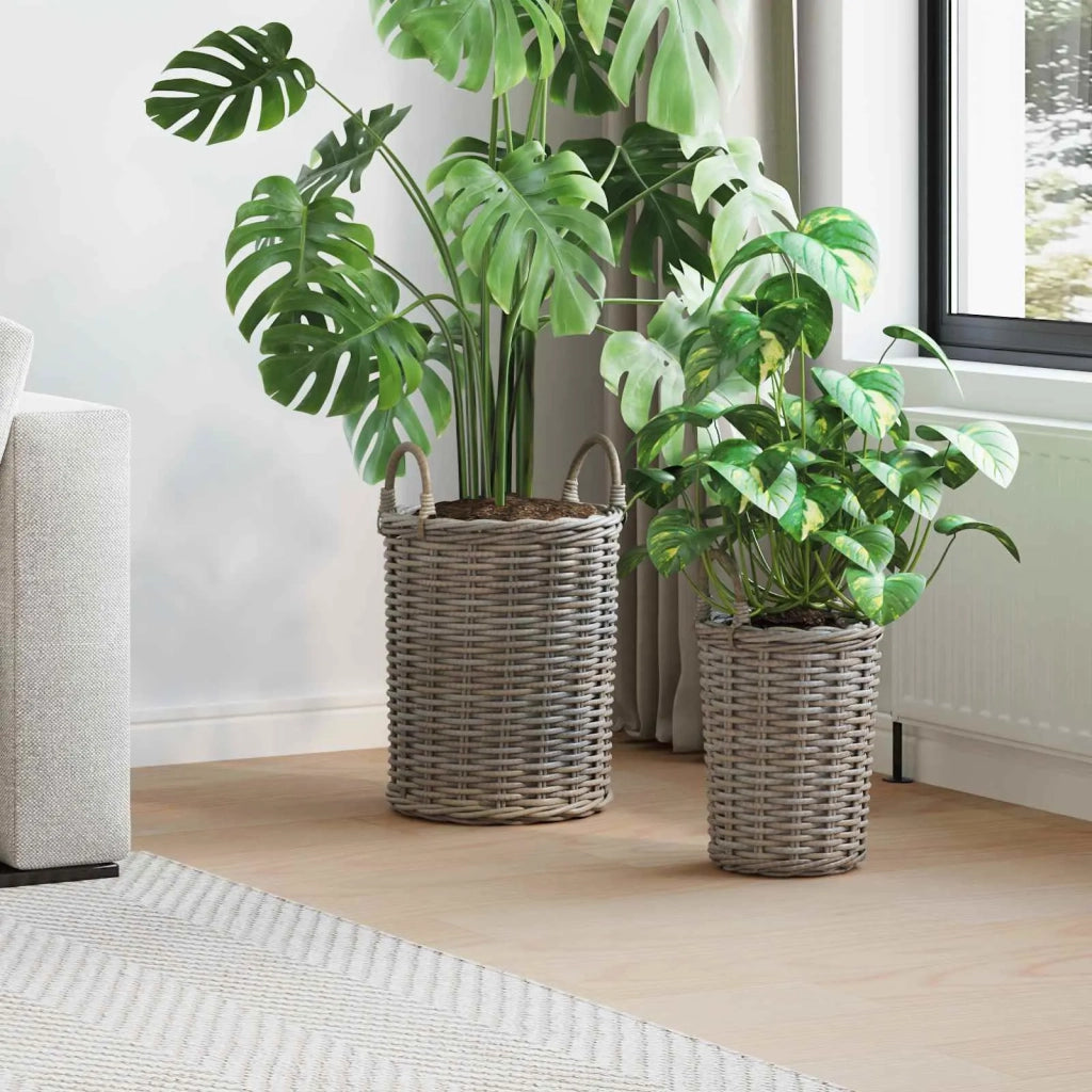 Cesto per Piante con archiviazione 2 pcs Grigio Rattan Kubu