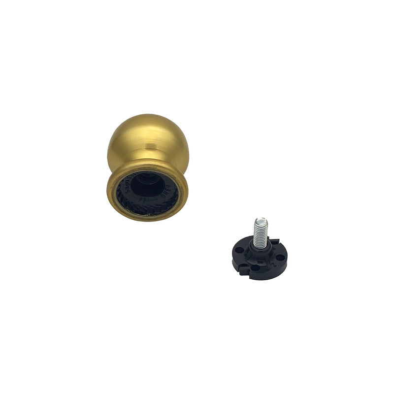 Pomolo fisso per porta SAGUATTI 169/50BB in alluminio oro lucido