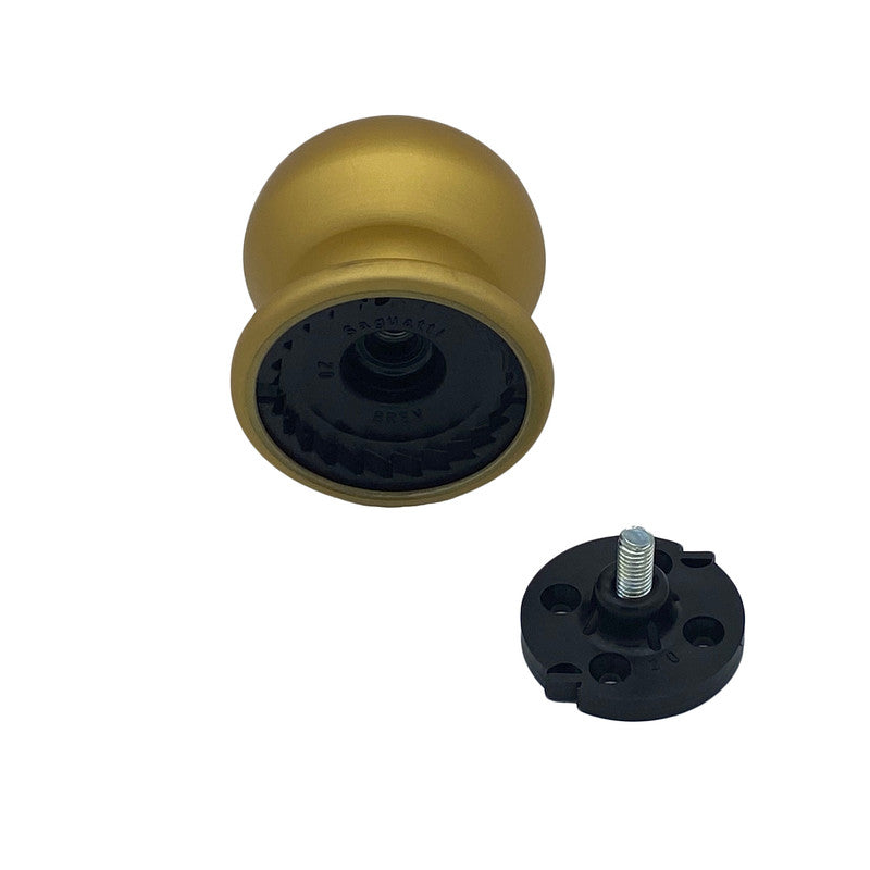 Pomolo fisso per porta SAGUATTI 169/70FB in alluminio oro satinato