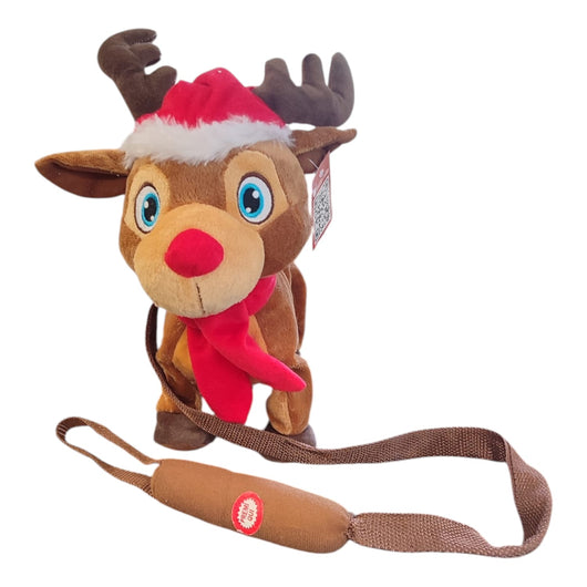 RENNA NATALIZIA MUSICALE CON MOVIMENTO