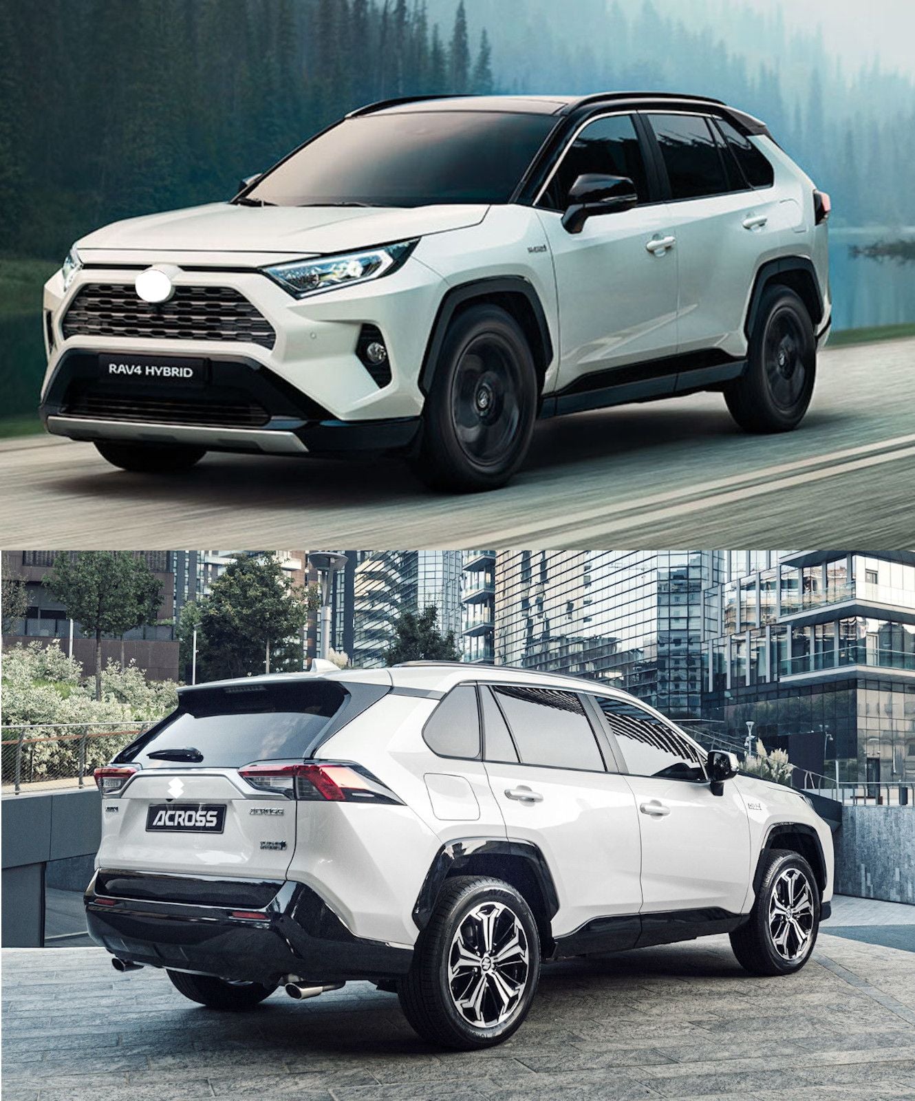 RIGUM904901 , Toyota Rav4 V serie dal 2019-, Toyota Rav4 Hybrid V serie dal 2019-, Suzuki Across dal 2020-