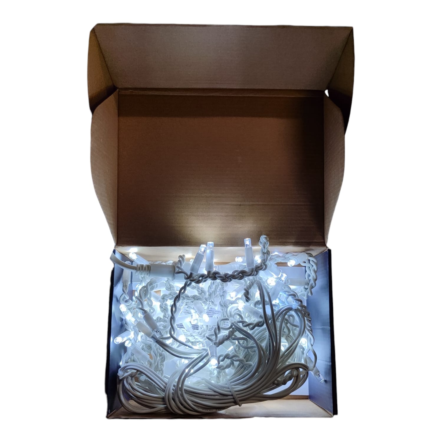 Tenda Luminosa 100 LED Bianco Freddo con Flash 5m Esterno IP44