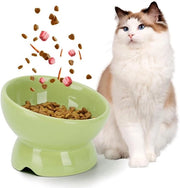 Ciotola alimentare per gatti in ceramica con inclinazione di 15° per prevenire la tosse e la pressione sulla gola - Verde