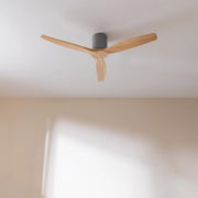 CECOTEC A01_EU01_122168 - EnergySilence Aero 5400 Classic Iron&LightWood
