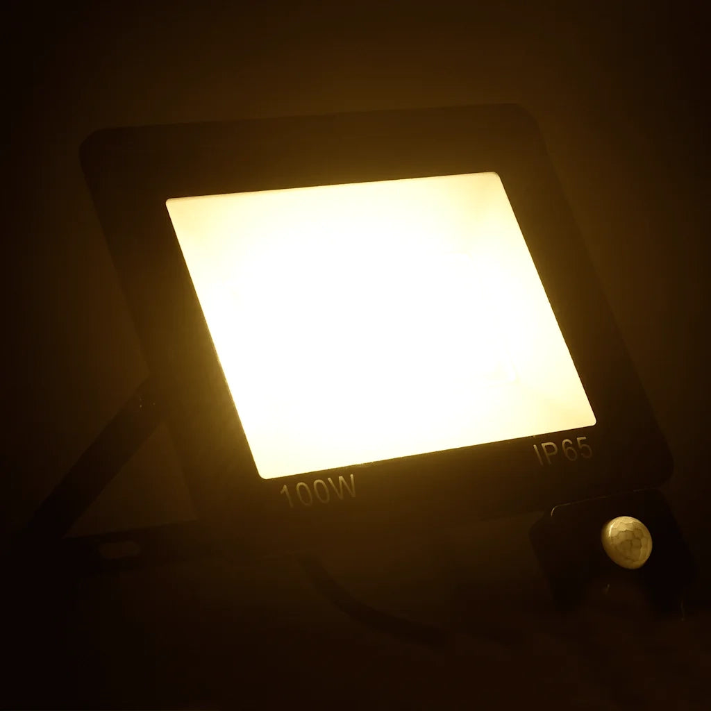 Faretto a LED con Sensore 100 W Bianco Caldo CFW5133498