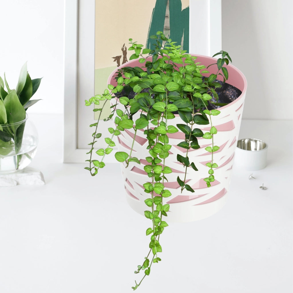 KADAX - Inserto in plastica per vaso di fiori e piante, 19 cm, rosa