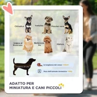 Passeggino per Cani Pieghevole con Guinzaglio di Sicurezza e Cestino Portaoggetti, Grigio