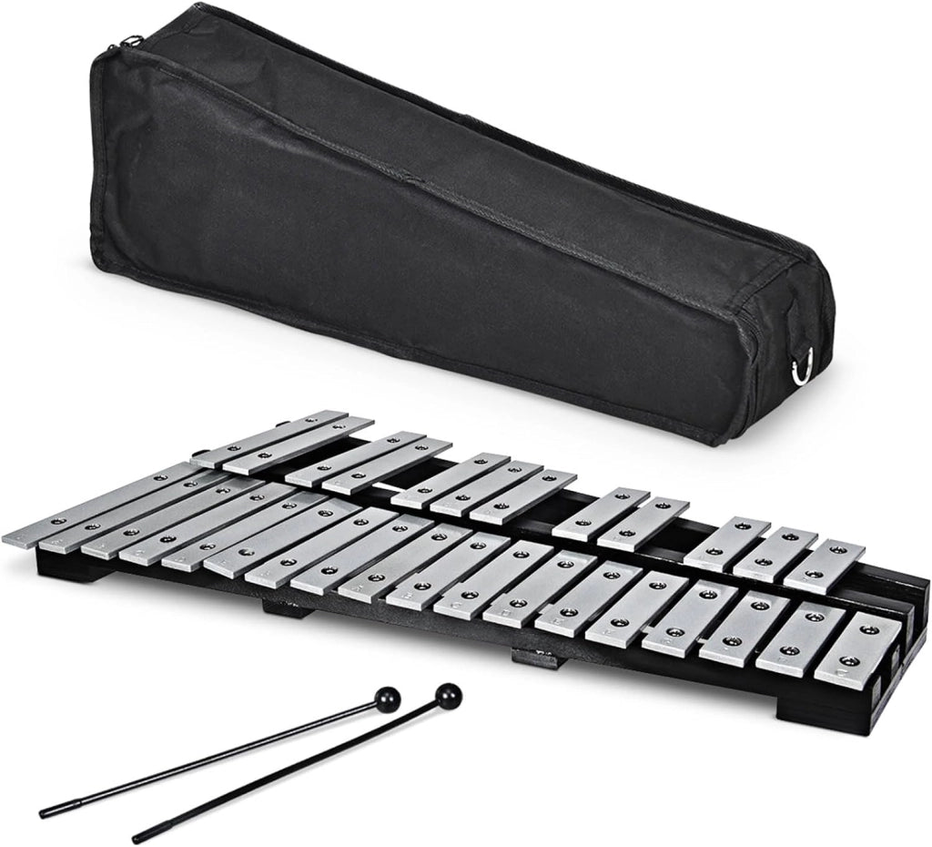 Xilofono 30 Note, Metallofono per Bambini, Glockenspiel Pieghevole con 2 Bacchete e Borsa, Strumento a Percussione a Mano per Bambini e Adulti
