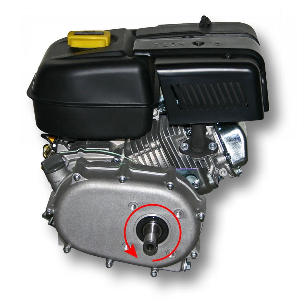 LIFAN 168 Motore a benzina 4,8 kW 6,5 CV 196 ccm con frizione a bagno d'olio e riduzione 2:1 kart