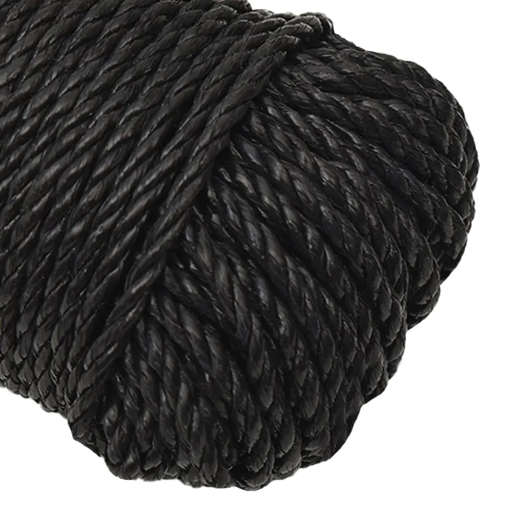 Corda da Lavoro Nera 8 mm 100 m in Polipropilene cod mxl 40736